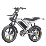 FATBIKE S20 Pro - Grijs - Afbeelding 2