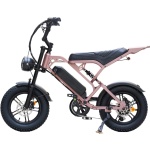 Fatbike V20 Pro Mini - Rose Gold - Afbeelding 3