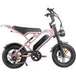 Fatbike V20 Pro Mini - Rose Gold - Afbeelding 2