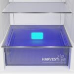 Beko B5RCNE405HG Vrijstaande Koel-vries Combinatie 203,5 cm hoog-grijs - Afbeelding 5